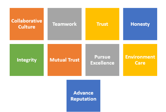 Core values of Rainchem Chemicals including integrity, teamwork, environmental care, and pursuit of excellence to build corporate reputation.